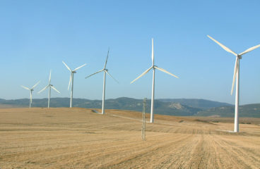 Virksomheder begynder at få øjnene op for solenergi